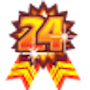 任務極限勳章:24